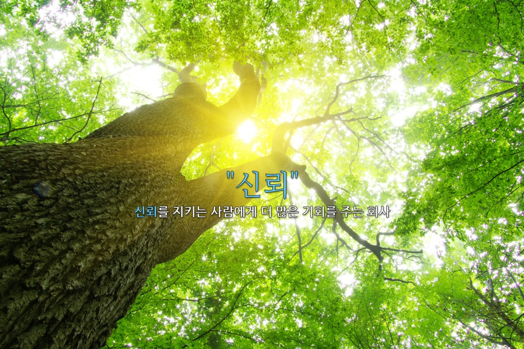 홈페이지 리뉴얼 했습니다.